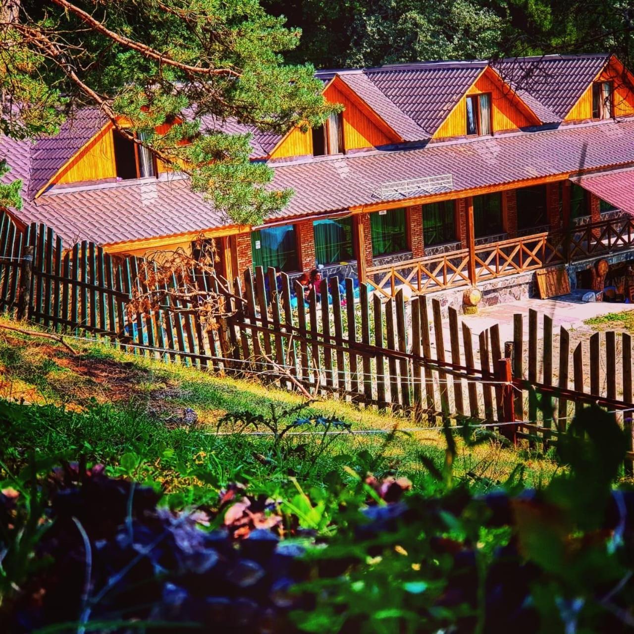 Hotel Eco House In Bakuriani Esterno foto