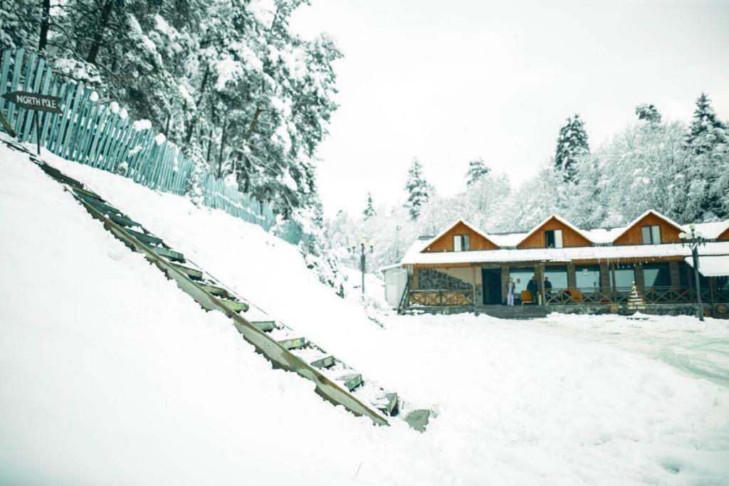 Hotel Eco House In Bakuriani Esterno foto